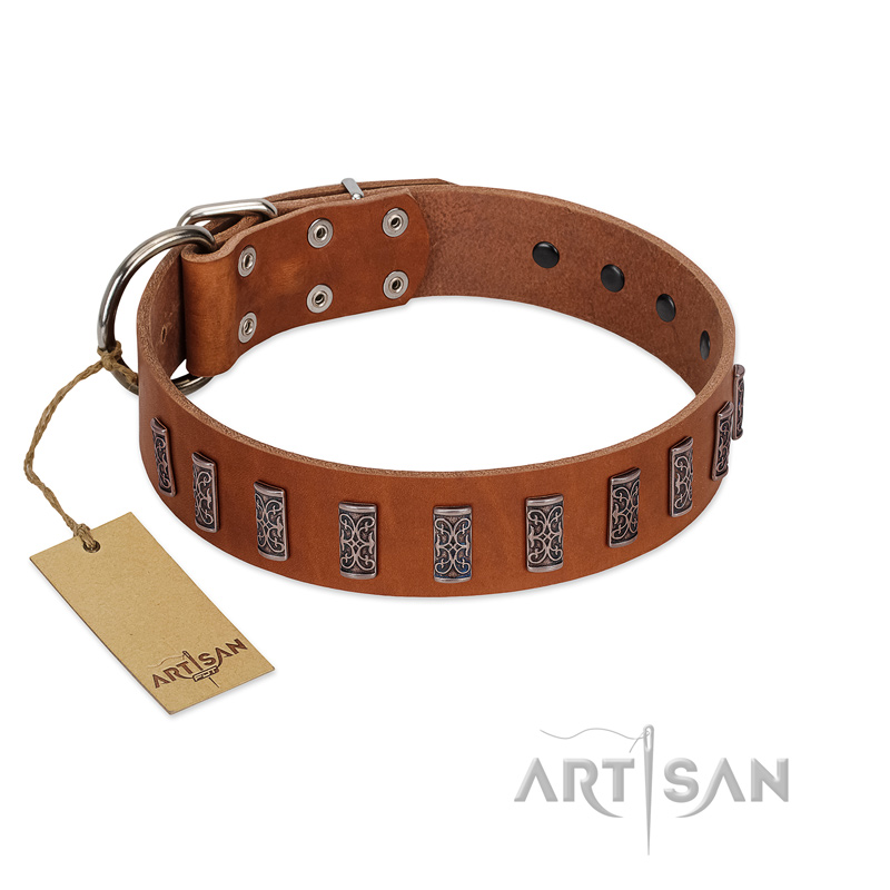 "Silver Century" Fashionable FDT Artisan Tan Leather Sharpei Collar with Silver-Like Plates - Click Image to Close
