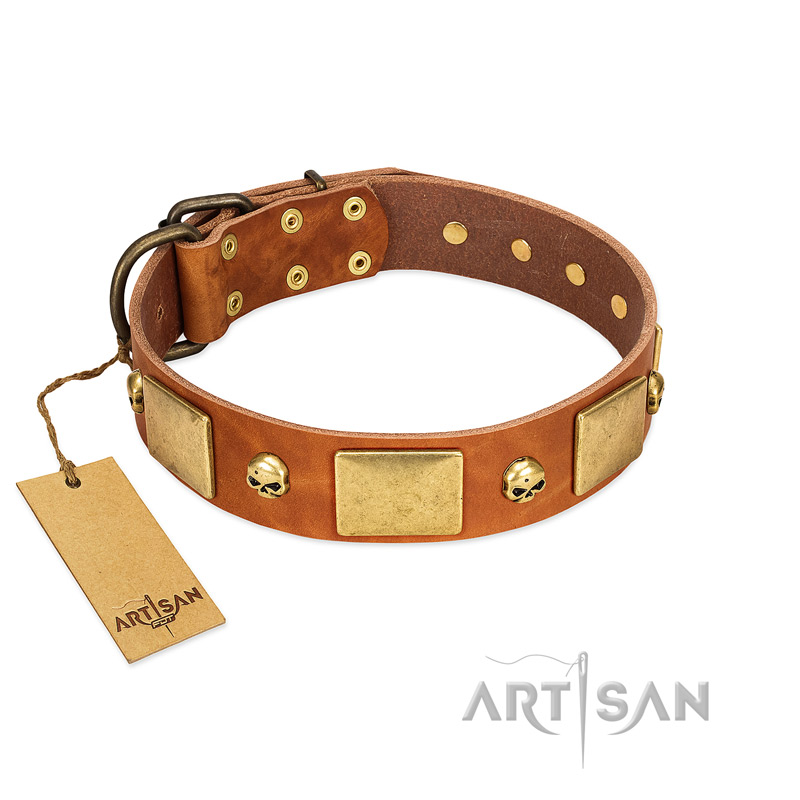 "Mutt The Daredevil" FDT Artisan Tan Leather Sharpei Collar with Old Bronze-like Skulls and Plates - Click Image to Close