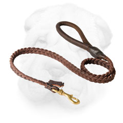 Leather Shar Pei Leash with Braids