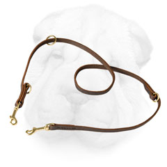 Leather Shar Pei Leash Equipped with Brass Hardware