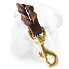 Leash with Brass Snap Hook