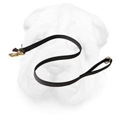 Shar Pei Leash Made of Nylon for Everyday Activities