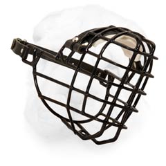 Wire Cage Winter Muzzle