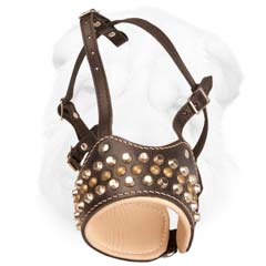 Studded Muzzle Padded with Soft Nappa Leather