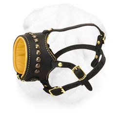 Enhanced Comfort Nappa Padded Leather Muzzle for Shar Pei with Sun-Like Studs Decoration