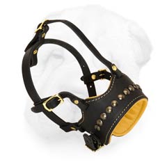 Open-Ended Leather Muzzle for Shar Pei with Nappa Padding and a Row of Brass Studs