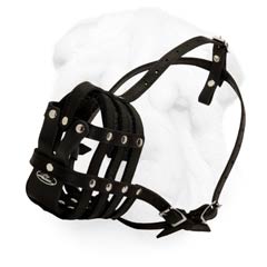 Enhanced Comfort Everyday Leather Muzzle