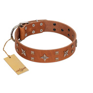 "Dreamy Gleam" FDT Artisan Tan Leather Sharpei Collar Adorned with Stars and Squares