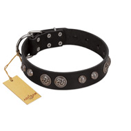 "Tricky Ricky" FDT Artisan Black Leather Sharpei Collar Adorned with Silver-Like Conchos