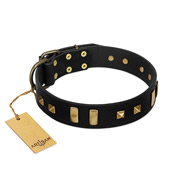 "Fit for Royalty" FDT Artisan Black Leather Sharpei Collar with Plates and Small Square Studs