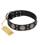 "Sun in Shining" Modern FDT Artisan Black Leather Sharpei Collar with Studs and Stars