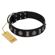 "Silver Spikes" Exclusive FDT Artisan Black Leather Sharpei Collar