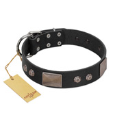 "Square Stars" Modern FDT Artisan Black Leather Sharpei Collar with Square Plates and Studs