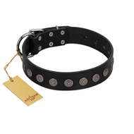 "Silent Star" Handmade FDT Artisan Designer Black Leather Sharpei Collar with Engraved Plates