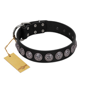 "Black Raven" Handmade FDT Artisan Black Leather Sharpei Collar with Silver-Like Adornments
