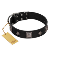 "Black Cavalier" Handmade FDT Artisan Black Leather Sharpei Collar with Silver-Like Stars and Large Plates
