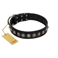 "Black Eagle" Handcrafted FDT Artisan Black Leather Sharpei Collar with Silver-Like Adornments