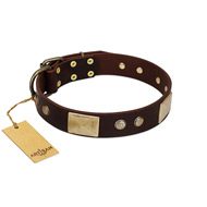 "Middle Age" FDT Artisan Brown Leather Sharpei Collar with Old Bronze-Plated Engraved Flowers and Large Plates