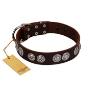 "High and Mighty" FDT Artisan Classy Brown Leather Sharpei Collar with Embellished Brooches
