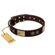"Bow-Wow Effect" FDT Artisan Brown Leather Sharpei Collar with Plates and Ornate Studs