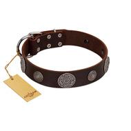"Flashy Woof" FDT Artisan Brown Leather Sharpei Collar with Chrome Plated Brooches