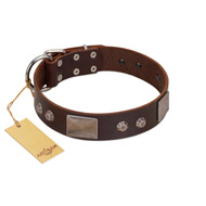 "Stone Stars" Stylish Handmade FDT Artisan Brown Leather Sharpei Collar