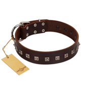 "Kingly Grace" FDT Artisan Brown Leather Sharpei Collar with Silver-like Dotted Studs