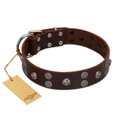"Skull Valley" Handcrafted FDT Artisan Brown Leather Sharpei Collar with Skulls