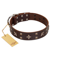 "Stars in Sands" Modern FDT Artisan Brown Leather Sharpei Collar with Studs and Stars