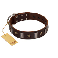 "War Chief" FDT Artisan Genuine Brown Leather Sharpei Collar with Skulls and Plates
