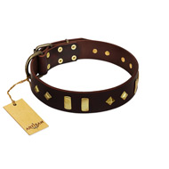 "Blinking Illusion" FDT Artisan Brown Leather Sharpei Collar with Old Bronze-like Studs and Plates