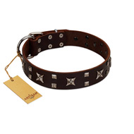 "Bigwig Woof" FDT Artisan Brown Leather Sharpei Collar with Chrome Plated Stars and Square Studs