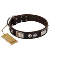 "Baller Status" FDT Artisan Brown Leather Sharpei Collar Adorned with a Set of Chrome Plated Studs and Plates