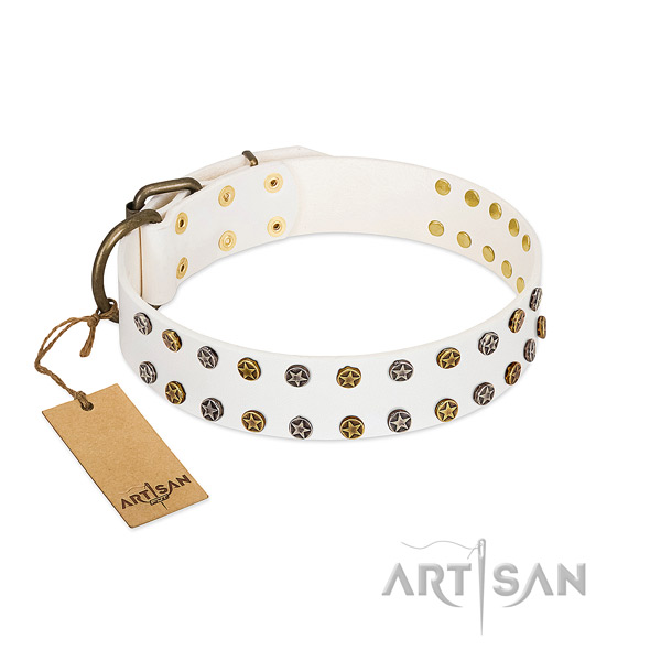 Impressive full grain natural leather dog collar with strong studs