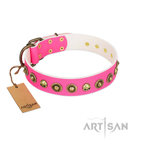 Trendy genuine leather dog collar with rust resistant embellishments