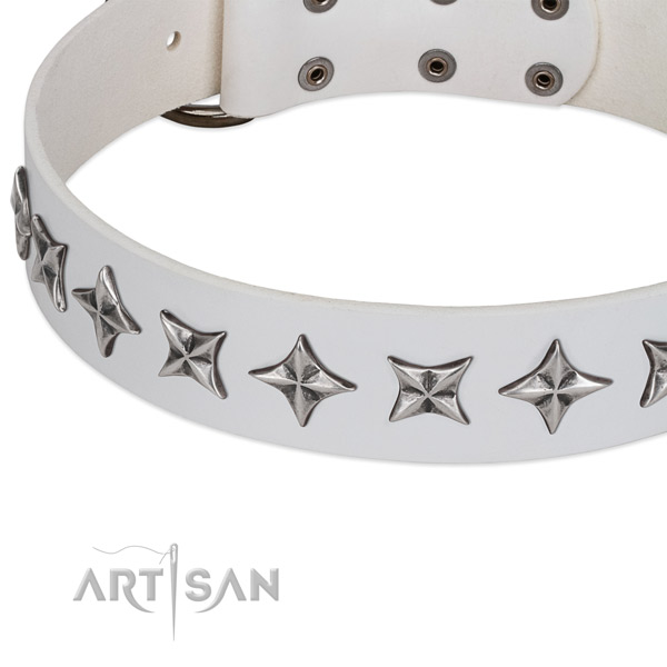Comfortable wearing embellished dog collar of quality leather
