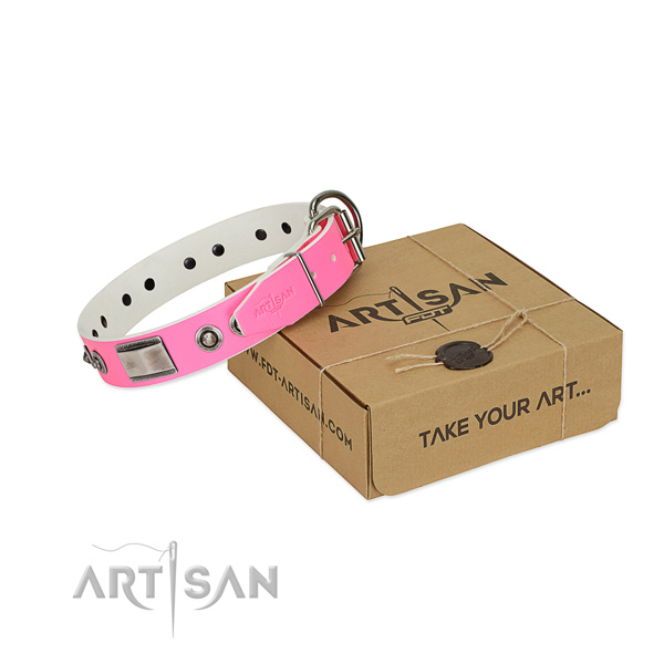 Designer dog collar of natural leather with studs