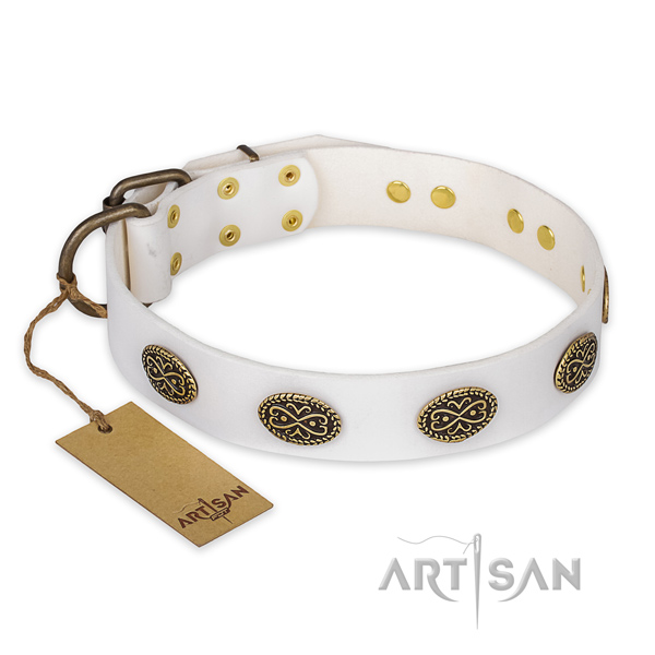 Designer full grain leather dog collar with durable traditional buckle