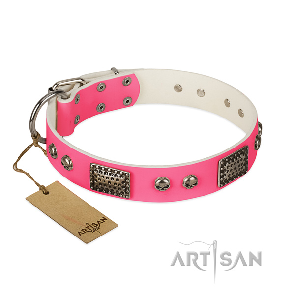 Adjustable full grain leather dog collar for daily walking your doggie