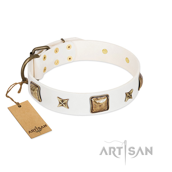 Exceptional full grain leather dog collar for basic training