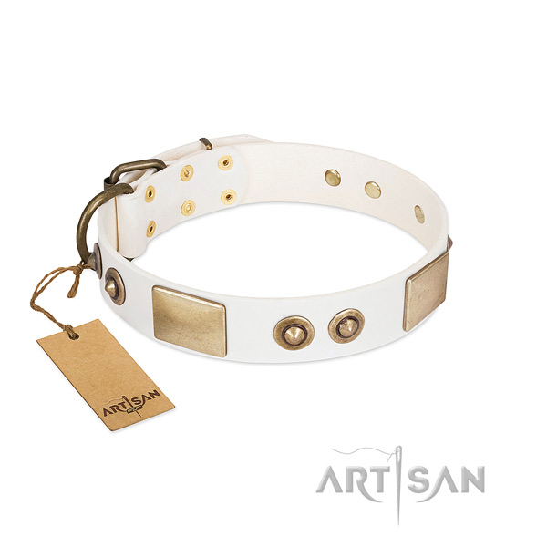 Corrosion resistant D-ring on natural genuine leather dog collar for your canine