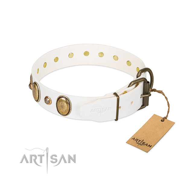 Everyday walking full grain leather dog collar