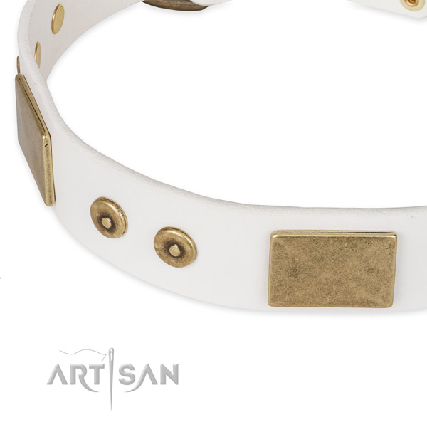 Corrosion proof hardware on natural leather dog collar for your canine