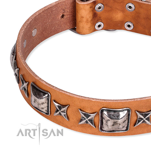 Easy wearing decorated dog collar of high quality full grain leather