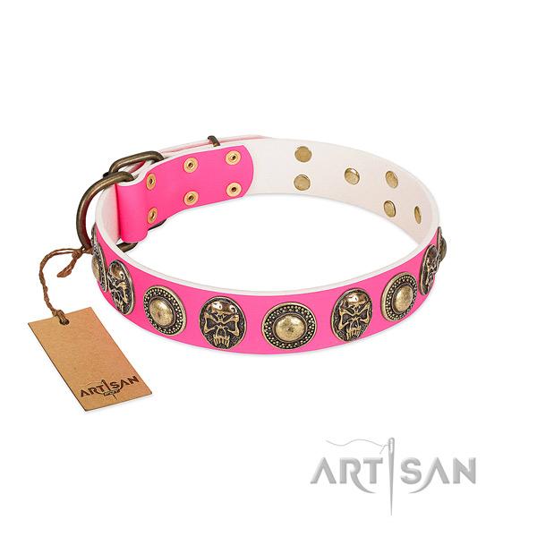 Easy to adjust genuine leather dog collar for daily walking your pet
