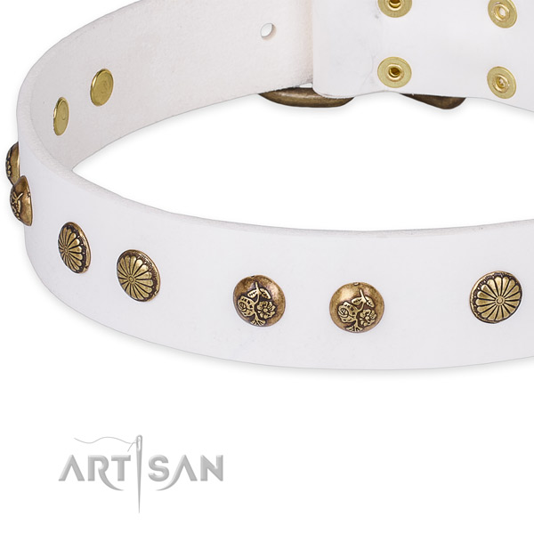 Natural genuine leather collar with durable traditional buckle for your beautiful pet