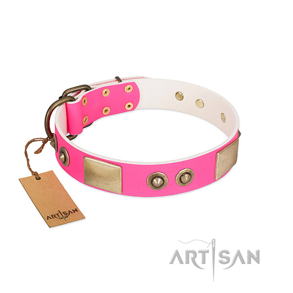 Reliable traditional buckle on genuine leather dog collar for your pet