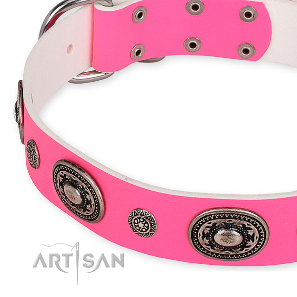 Leather dog collar with amazing rust-proof adornments