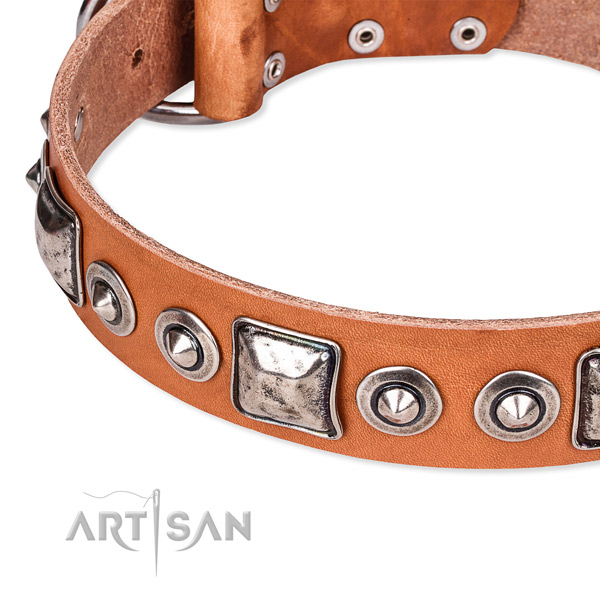 Reliable natural genuine leather dog collar crafted for your lovely pet