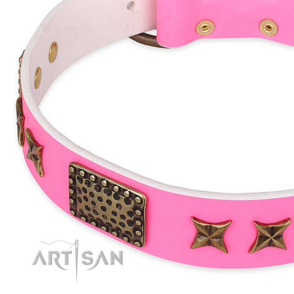 Genuine leather collar with corrosion resistant fittings for your lovely dog